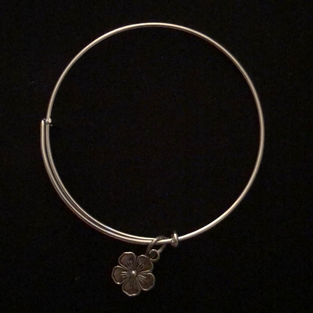 NWOT Fake Silver Alex & Ani